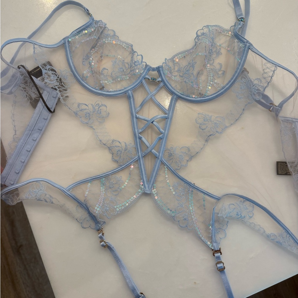 Honey Burnett’s Bella Blue Bustier (NWT)